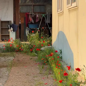 이선이칼국수 리뷰 사진