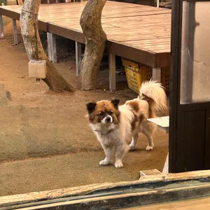 만덕고개 기와집 리뷰 사진