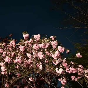 만덕고개 기와집 리뷰 사진