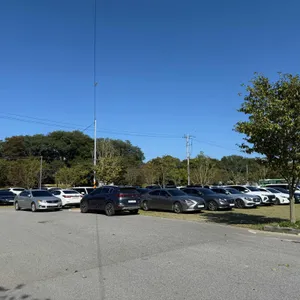 담양자매국수 리뷰 사진