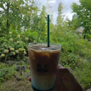 오아시스 대표 사진