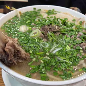 포레스트오늘숲 사진