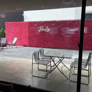 브릴리 리뷰 사진