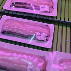 천하장사풍천장어 사진