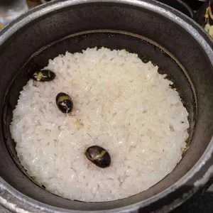 송담추어탕 사진