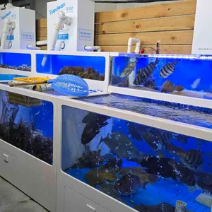 거문도 대표 사진