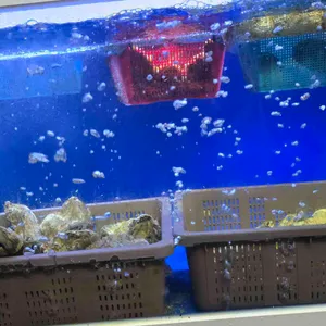 거문도 대표 사진