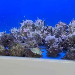 거문도 대표 사진