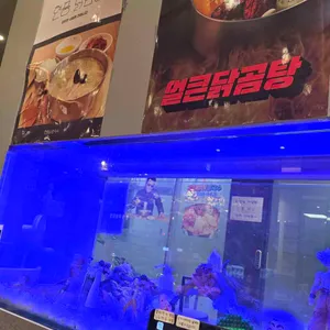 현풍닭칼국수 리뷰 사진