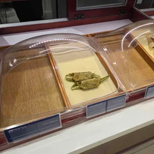 익선동창화당 리뷰 사진