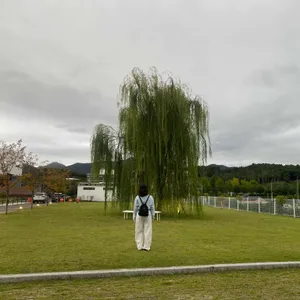 패브릭피치스 리뷰 사진