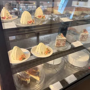 도프뮤지엄 리뷰 사진