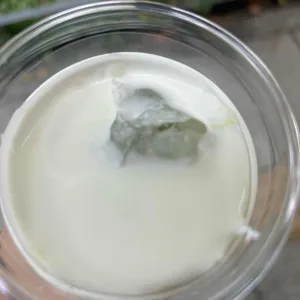 카멜커피 대표 사진