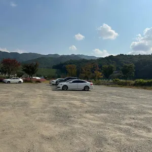 마메르 리뷰 사진