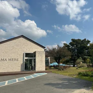 마메르 리뷰 사진