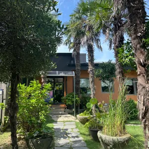 찻집작은갤러리 사진 1