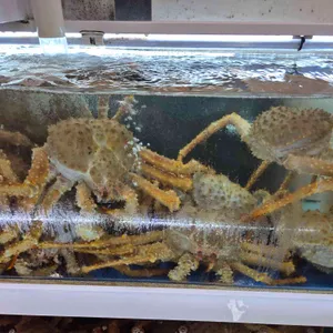 먹자대게 리뷰 사진