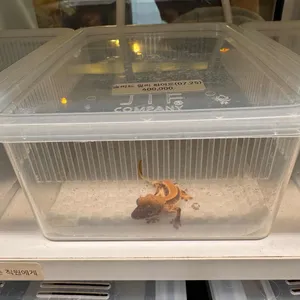 작은지구 대표 사진