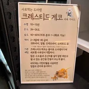 작은지구 리뷰 사진
