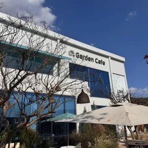 라임그라스 대표 사진