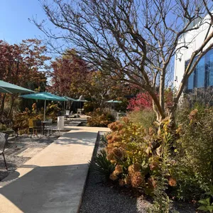 라임그라스 리뷰 사진