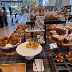 라임그라스 사진