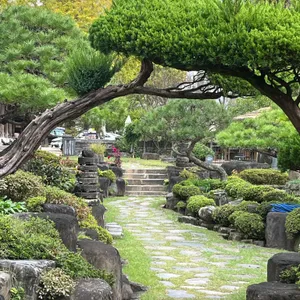 꽃피는춘삼월 리뷰 사진