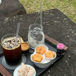 꽃피는춘삼월 사진