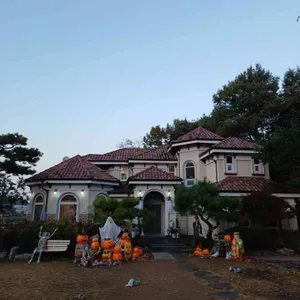 하이베를리너 리뷰 사진