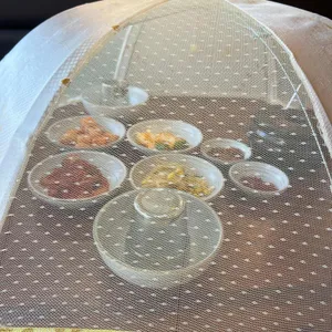 일등추어탕 사진