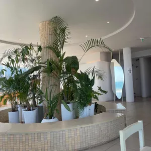 스컹크웍스 리뷰 사진