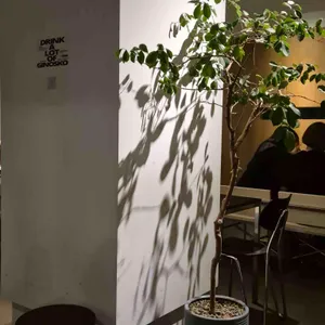 기노스코 리뷰 사진