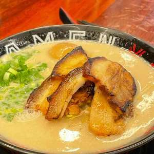 코이라멘 대표 사진