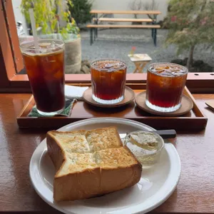 고냅브로시스 사진 1