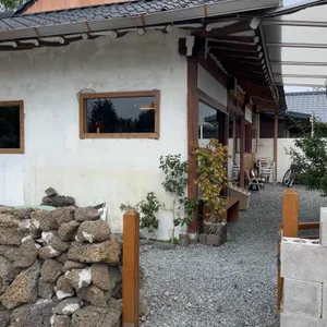 고냅브로시스 리뷰 사진