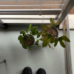 토그 커피샵 리뷰 사진