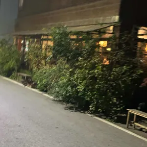 와일드그라스 리뷰 사진