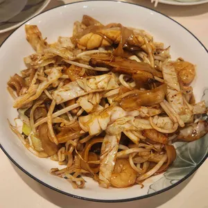 살롱드호우섬 사진