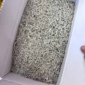 서진이네 건어물 리뷰 사진