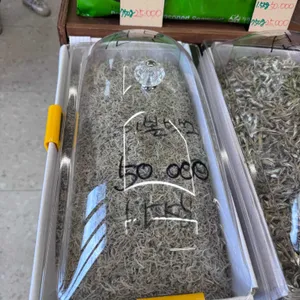 서진이네 건어물 리뷰 사진