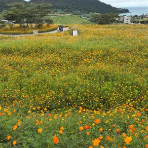 리빈 리뷰 사진