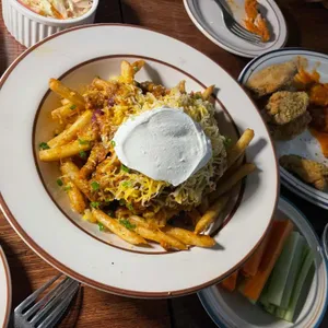 와일드버팔로 대표 사진