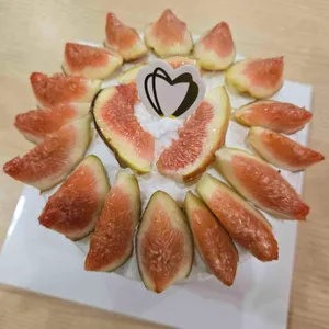 프레베리 대표 사진