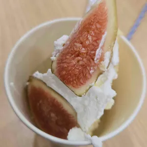 프레베리 대표 사진