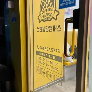 와플대학 리뷰 사진