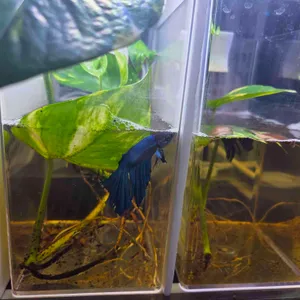 작은연못 리뷰 사진