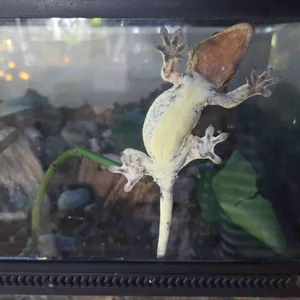 작은연못 리뷰 사진