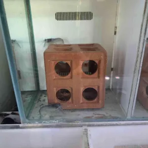 작은연못 리뷰 사진