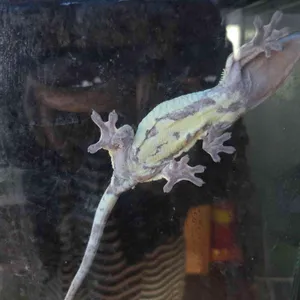 작은연못 리뷰 사진