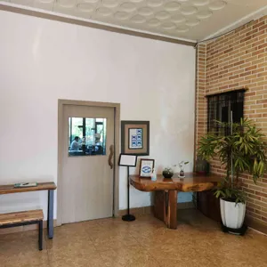 바자라 리뷰 사진